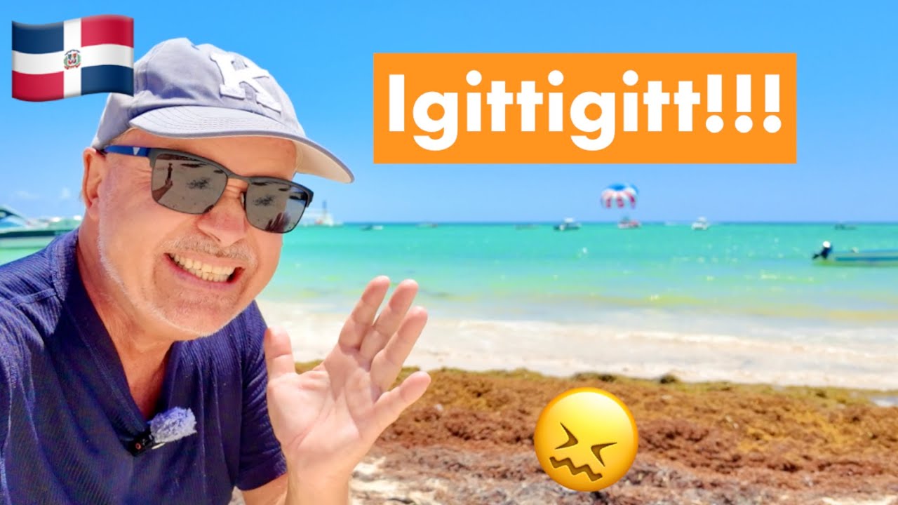 PUNTA CANA | Braunalgen - wirklich sooo schlimm?