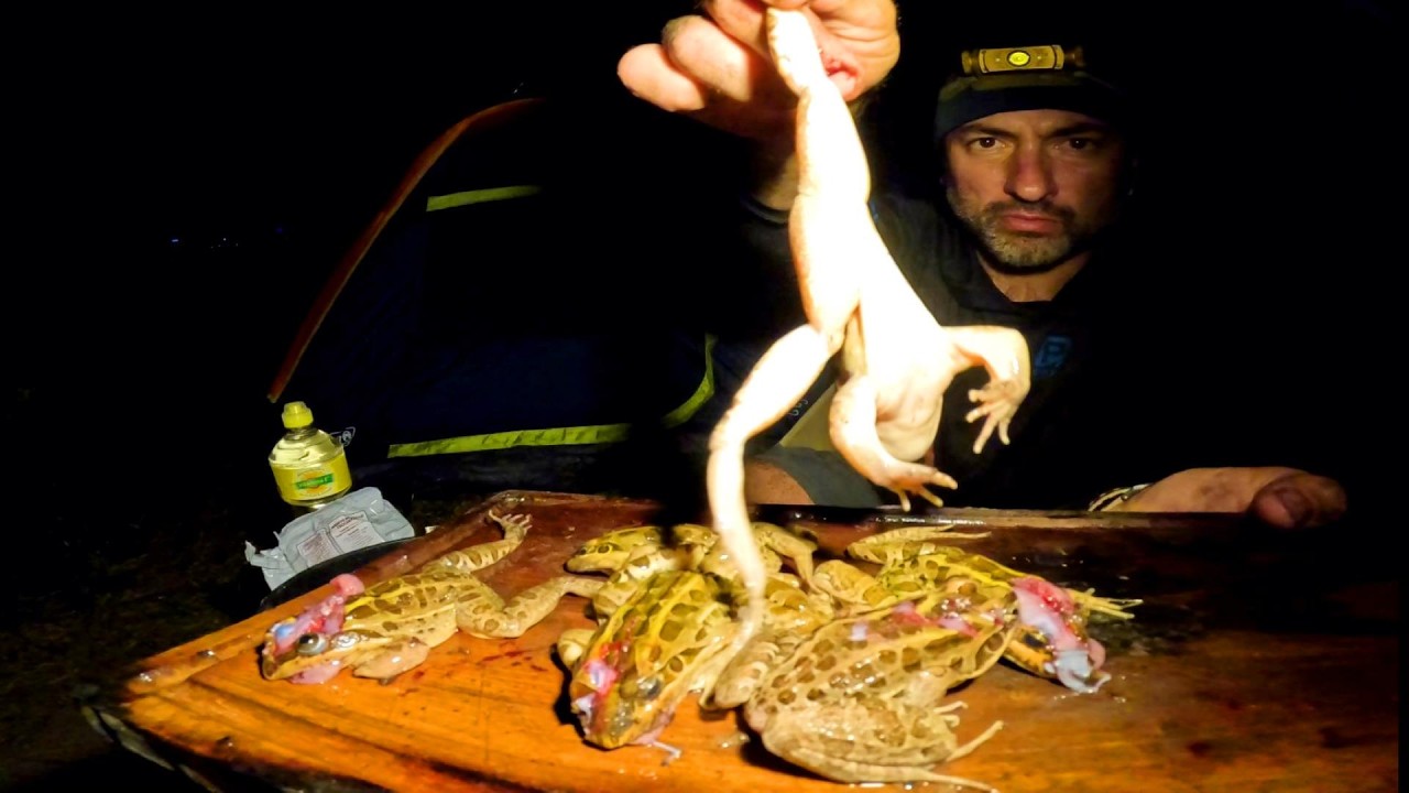 Acampando solo, Pesca y Cocina de 