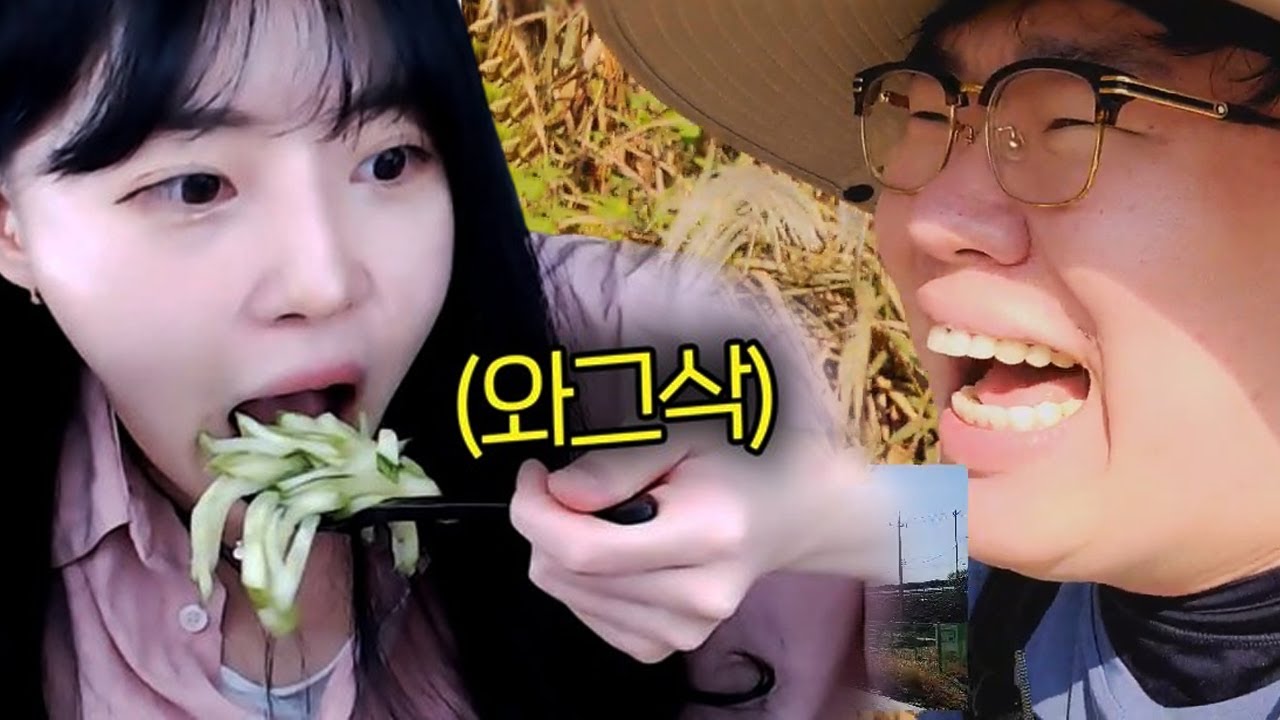 국토까지 오이도시락을 싸온 임아니ㅋㅋㅋㅋㅋㅋ : 국토대장정 9일차