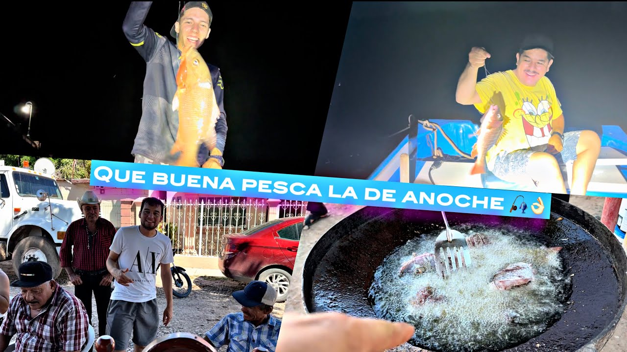 UNA PESCA🎣 DE NOCHE Y TODO LO QUE SACAMOS ASÍ LO PREPARAMOS😋(elmariomt)‼️