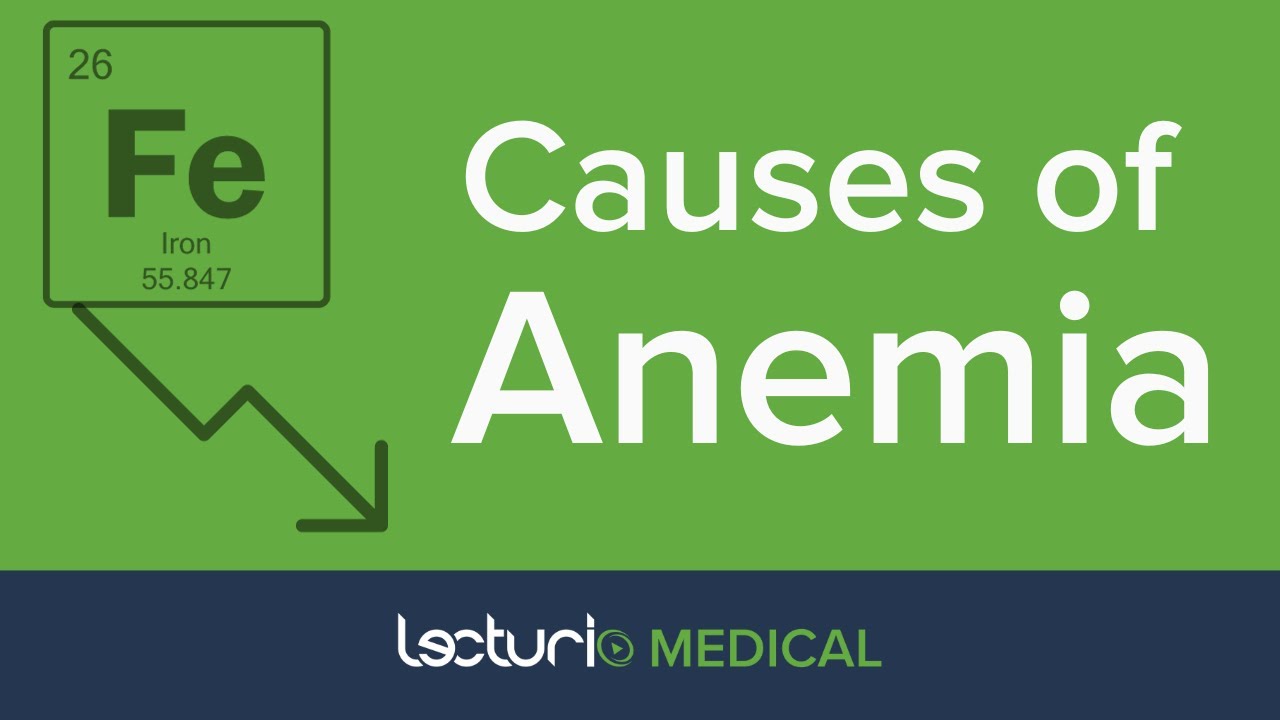 Which Anemia Is It? Red Blood Cell Disorders Explained