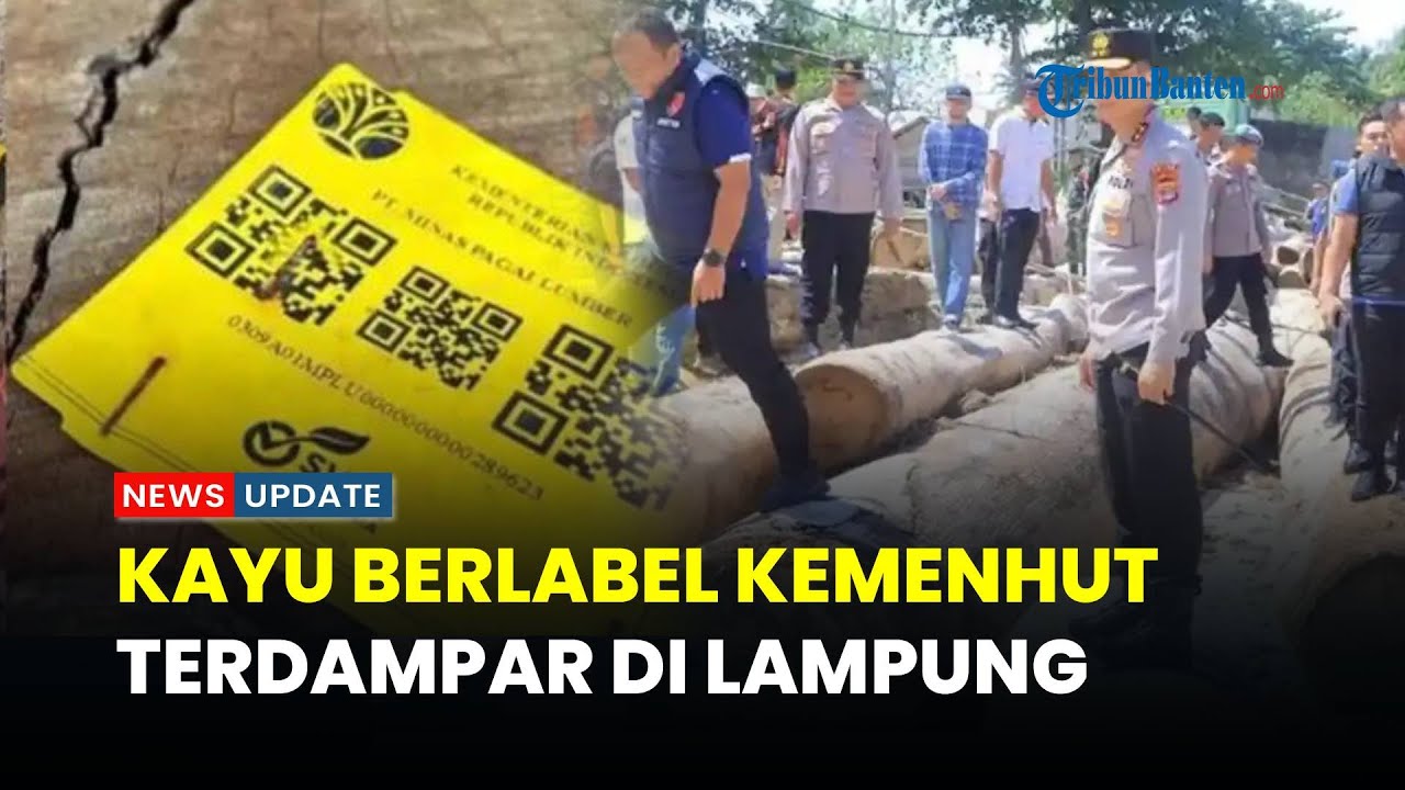 Kayu Gelondongan Berlabel Kemenhut dan PT MPL Ditemukan Penuhi Pantai Lampung