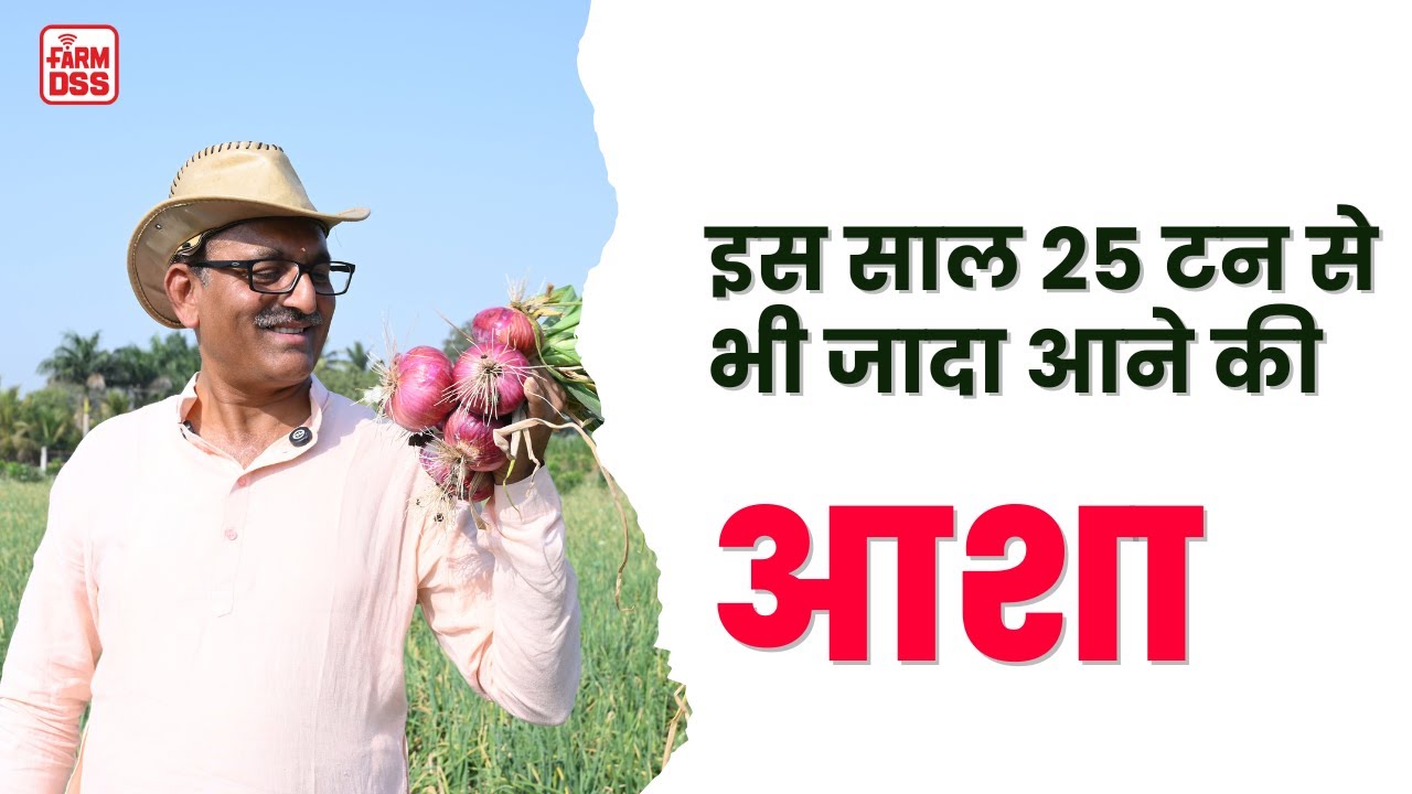 इस साल 25 टन से भी जादा प्याज उत्पादन की आशा @BTGore farm