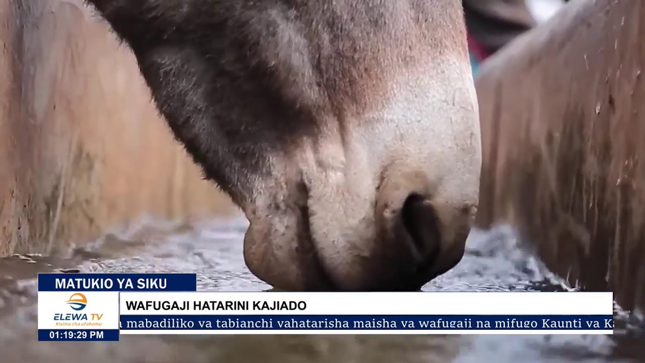 MATUKIO YA ADHUHURI