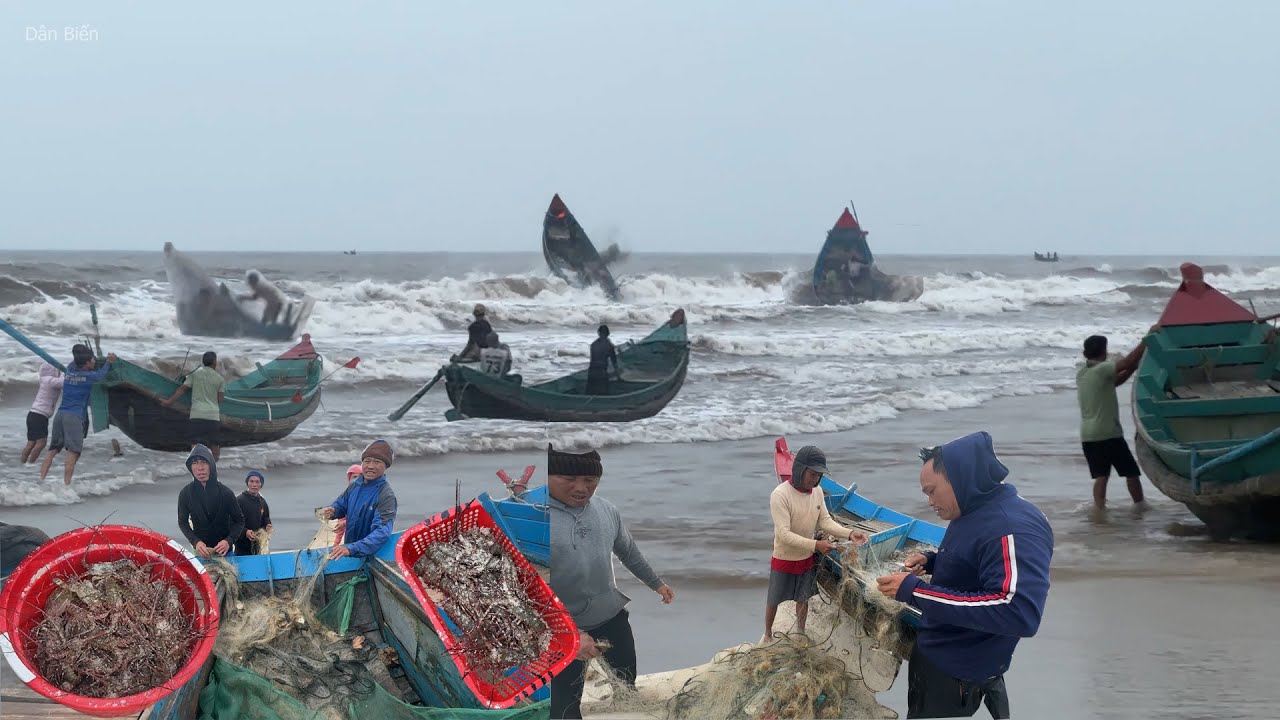 Cuộc Sống Ngư D&acirc;n B&atilde;i Ngang Đ&aacute;nh Lưới T&ocirc;m H&ugrave;m - D&acirc;n Biển