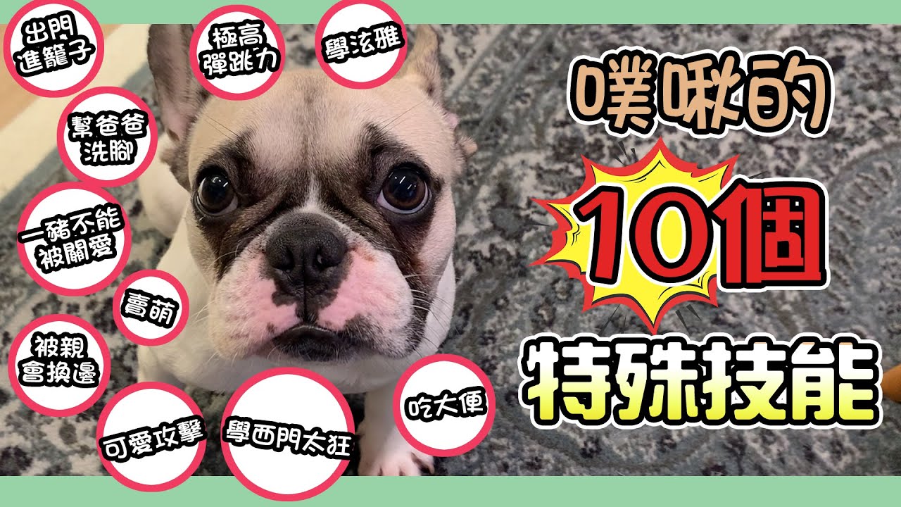 一豬小公主｜噗啾的十個特殊技能