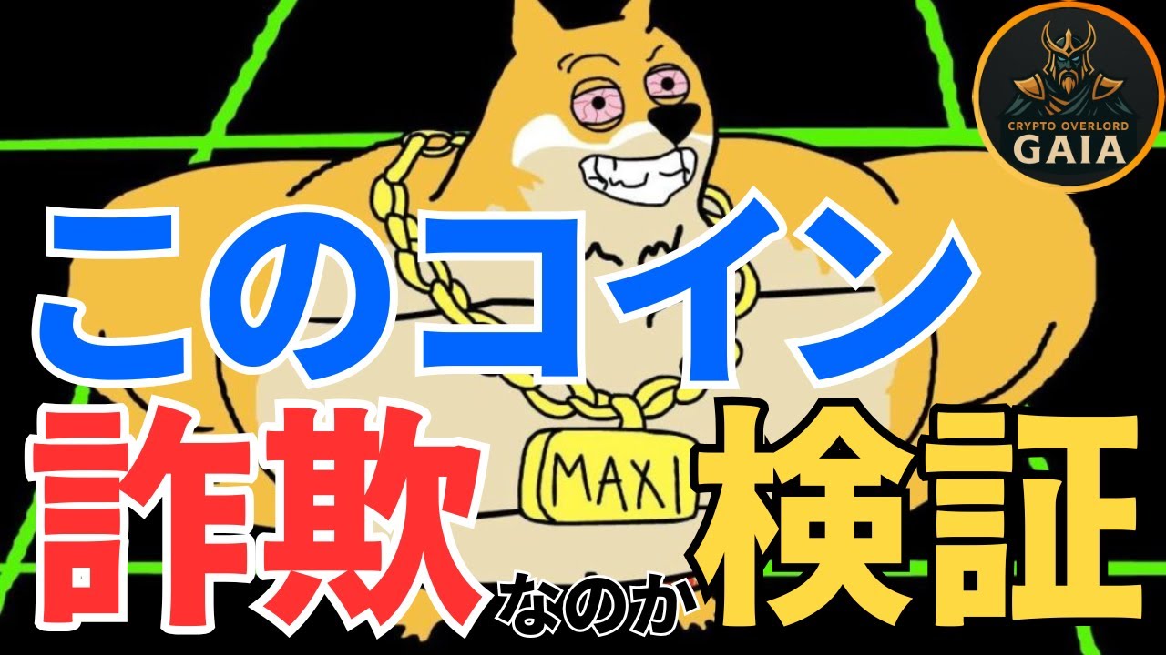 【詐欺注意】大半がここで資金を失います【Maxi Doge】 #57