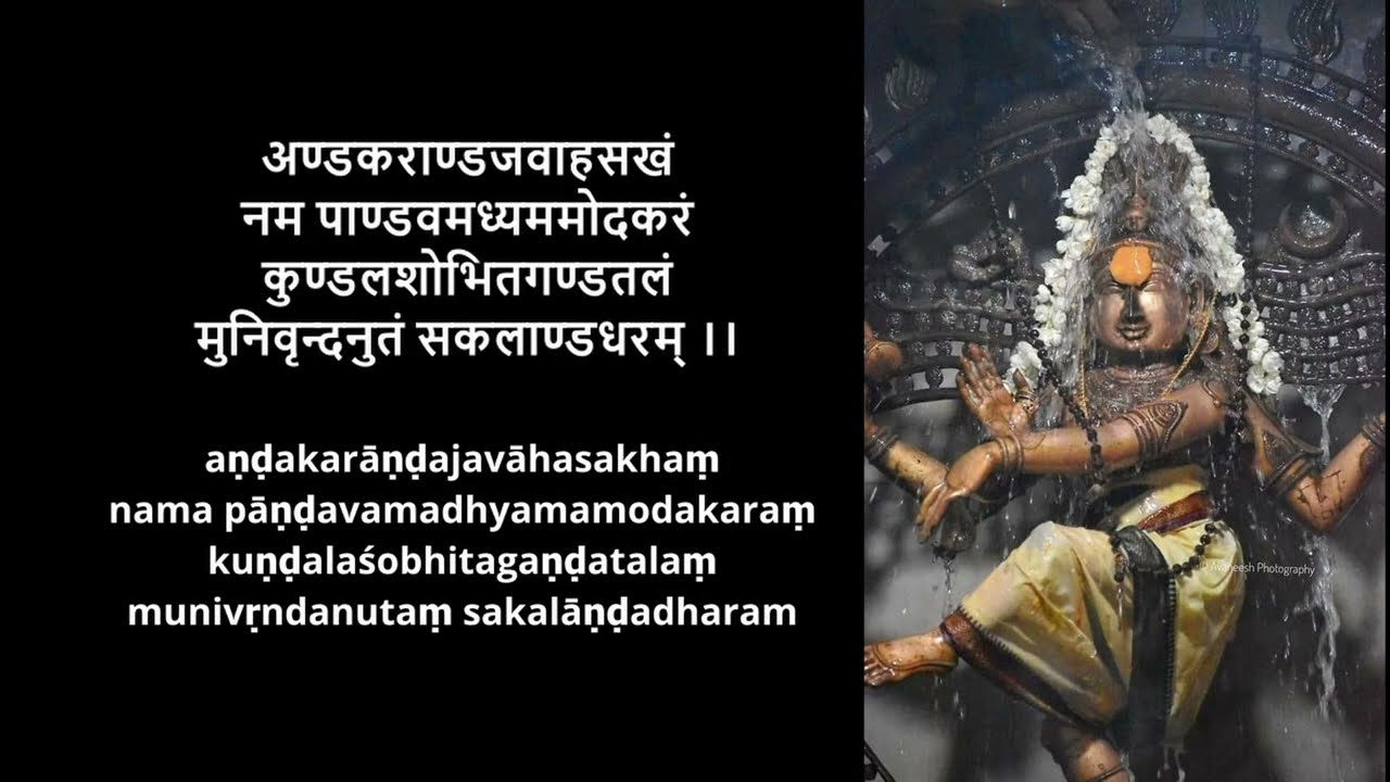 Sri Naṭarājāṣṭakam: A Devotional Melody to Lord Nataraja - Sringeri Sisters