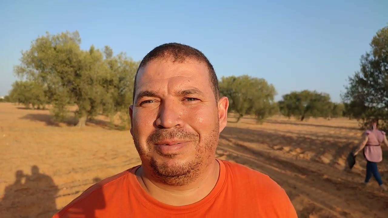 Les travaux du sol au verger ol&eacute;icole sous climat aride au sud Tunisien &agrave; Sfax