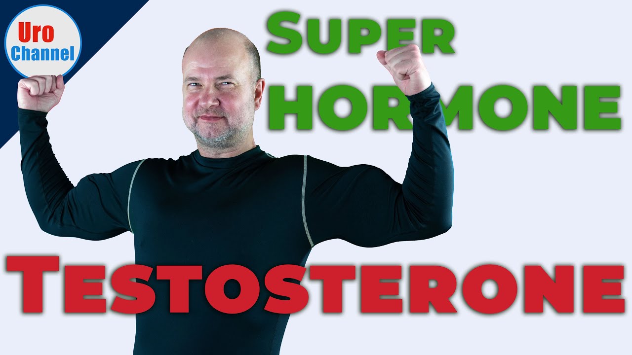 What TESTOSTERONE does to the body | UroChannel