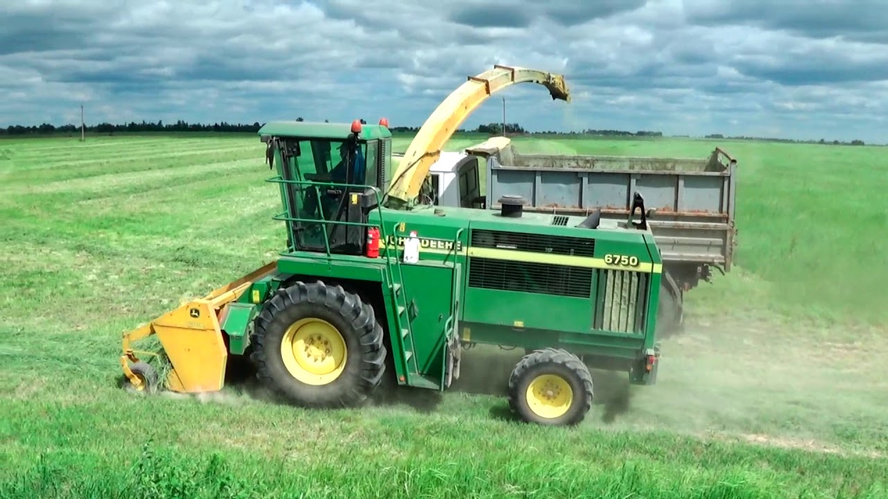 Кормозаготовка