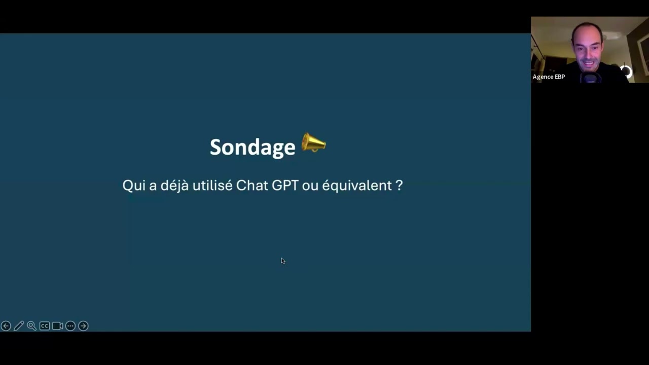 Replay Webinaire IA par Flavio Bonnet