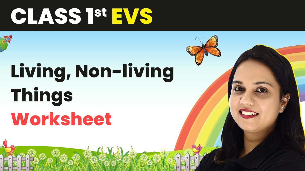 Living, Non-living Things - Worksheet | Class 1 EVS