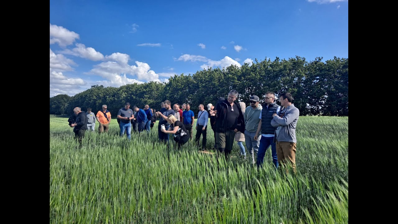 Mzuri Field Day 2022