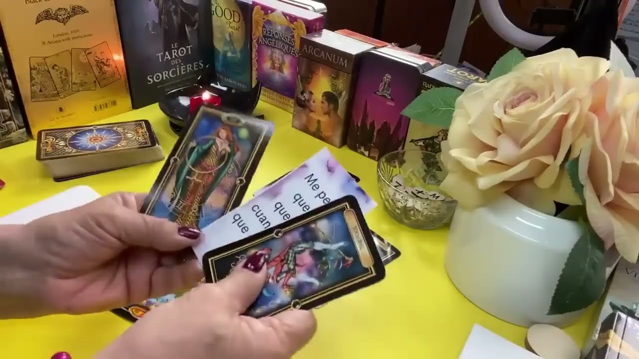 VIRGO! 
