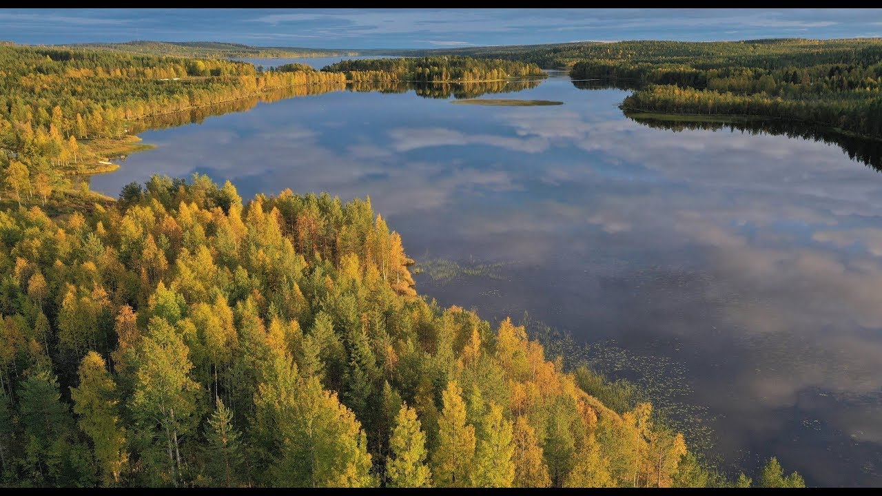 Wonderful autumn colors in Lapland Finland: fall at Arctic Circle Rovaniemi Pello Ruska Lappi