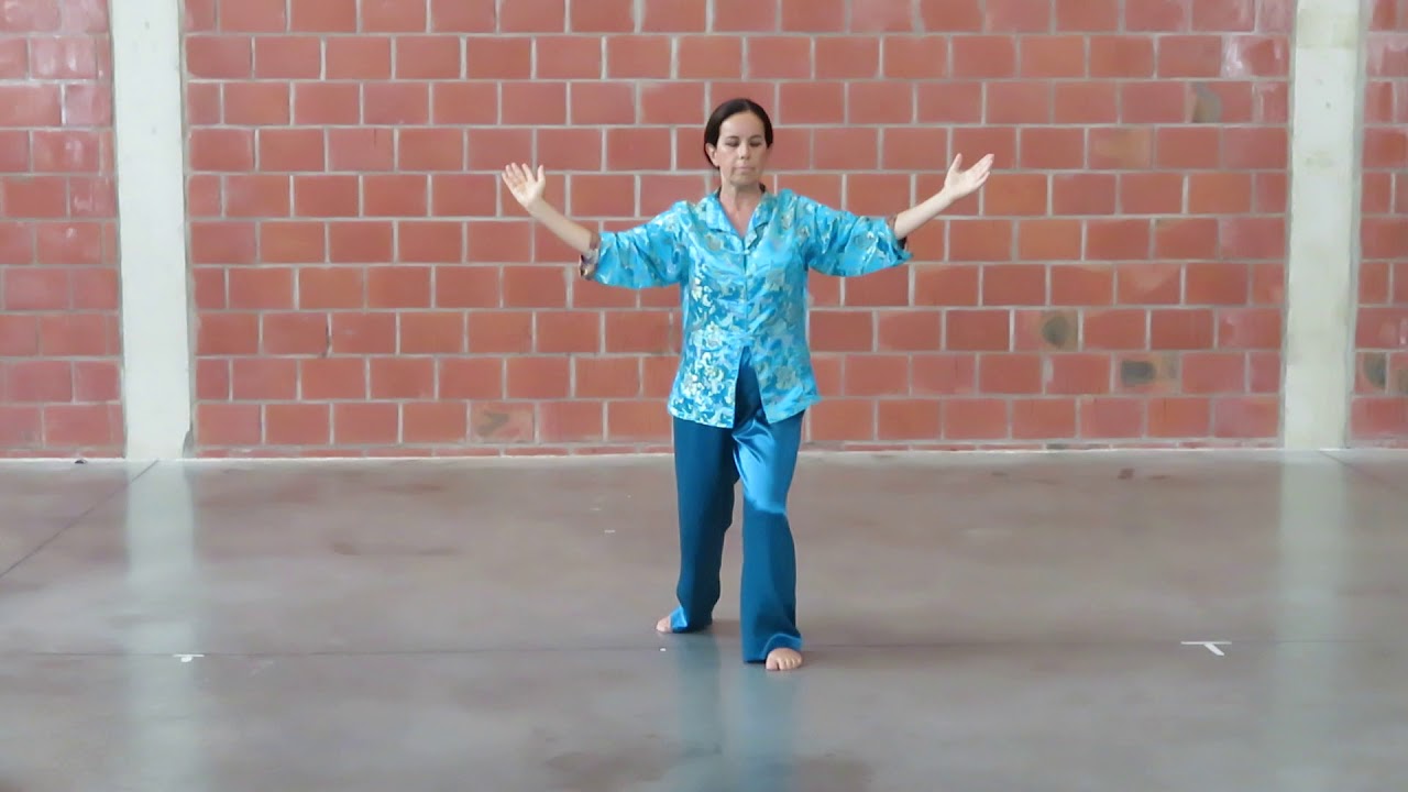 QI GONG Grue Blanche avec Dominique Jacquemay/ Porte Ouverte de notre école