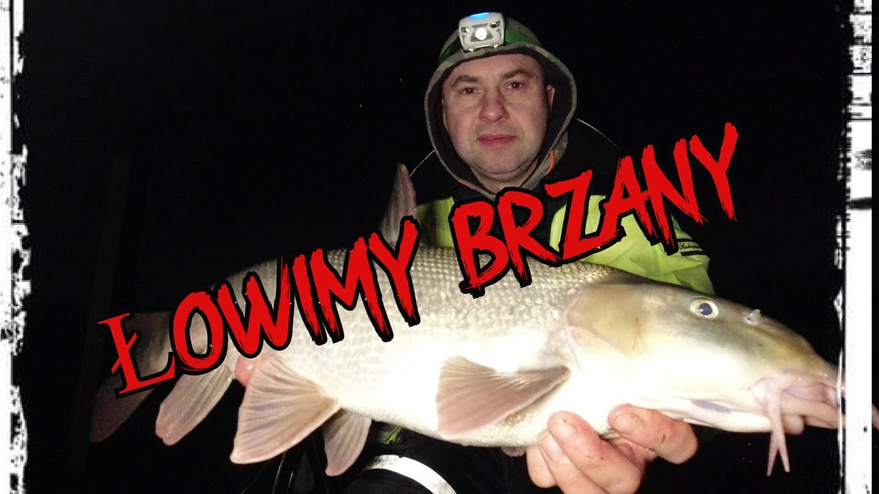 ŁOWIMY BRZANY / WE CATCH BARBEL
