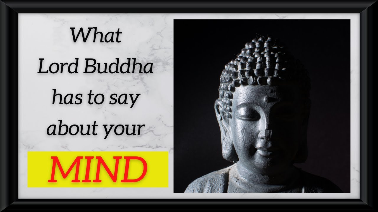 Change your MINDSET: Buddha's Surprisingly Positive Views On HAPPINESS  | Mind Quotes #simplyquotes1