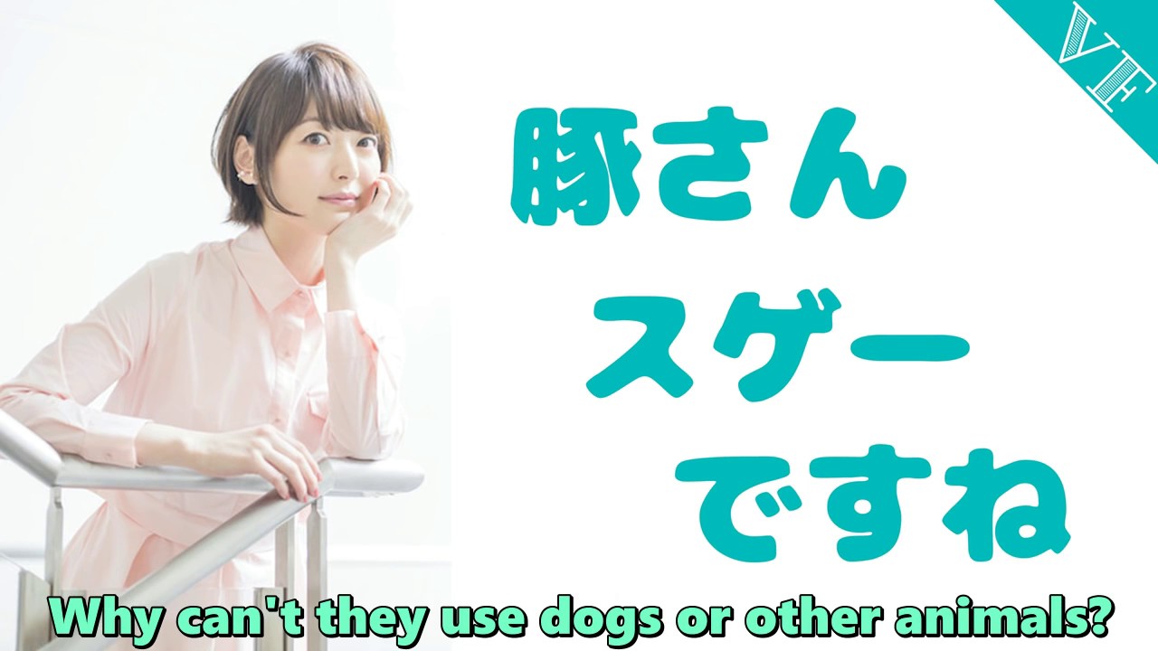 [HitoKana] Hanazawa think pigs are amazing [Potastic Fansubs]