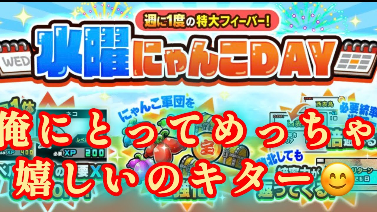 【水曜にゃんこDAY】エグいイベント来よった❣️