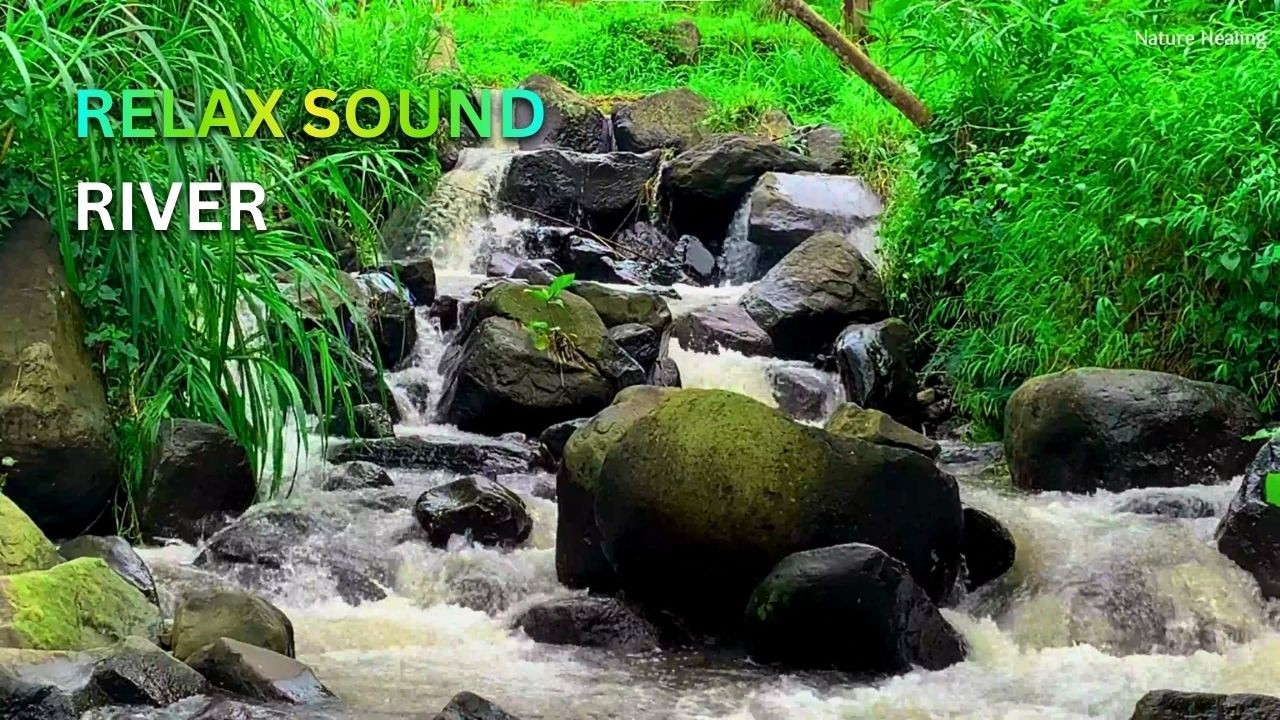 3 hours | Calm River Flow Sound 🌊 Natural Water Ambience for Sleep, Study, Meditation