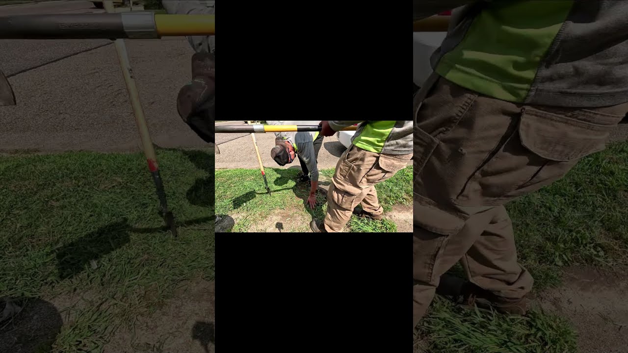 OVERGROWN SIDEWALK edging #lawncare #mowing #overgrownyard