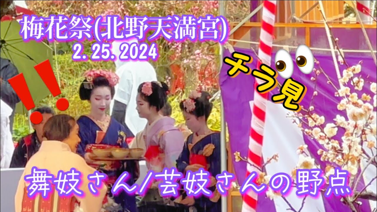 【上七軒梅花祭の野点•北野天満宮】舞妓さんと芸妓さん野点•外国人観光客は⁉️Maiko-san and Geisha-san Public Tea Performance