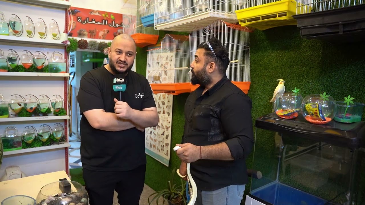 البصرة تشهد توسعًا لافتًا في مراكز بيع الحيوانات الأليفة ومستلزماتها