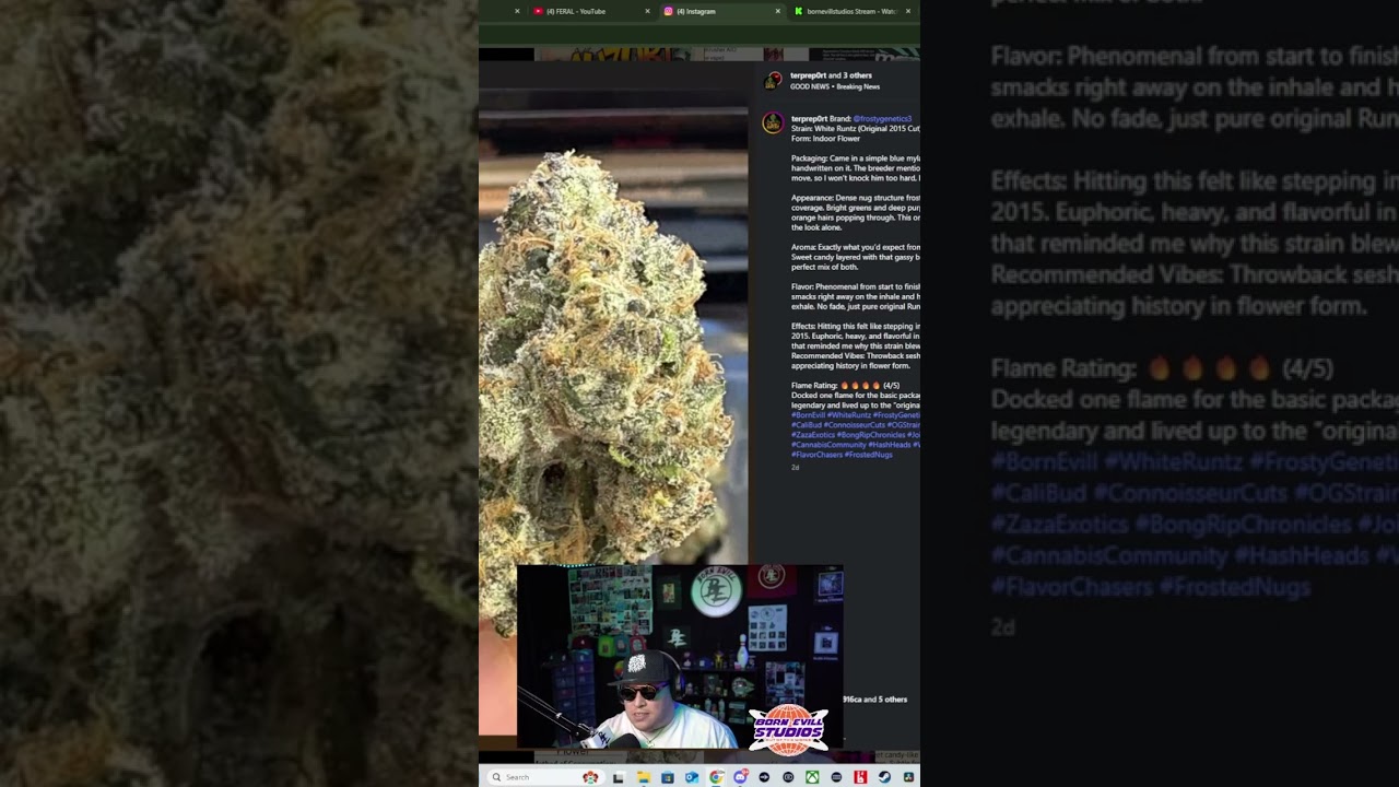 Brand: @frostygenetics3 Strain: White Runtz (Original 2015 Cut) | Terp Report