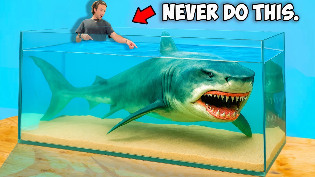 Buying the Rarest Shark I've Ever Owned Off The Web...