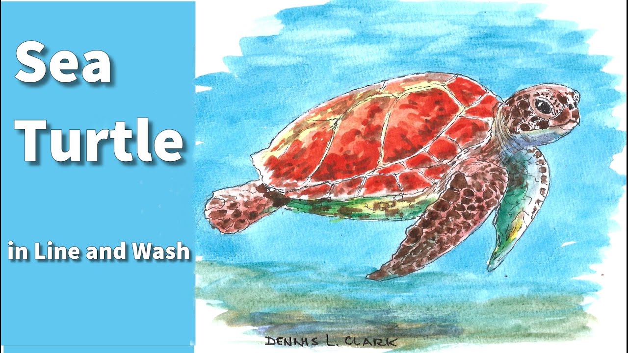 Line and wash watercolor painting tutorial - How to draw and paint a sea turtle