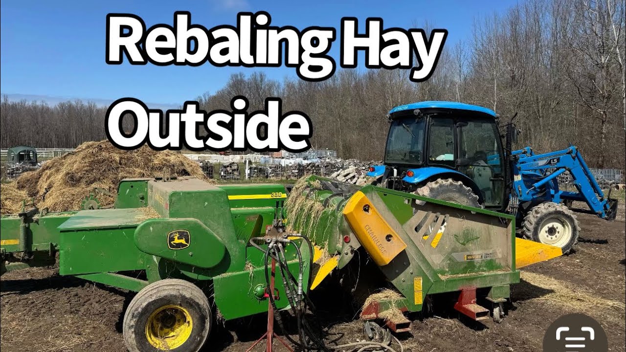 The Challenges of Rebaling Round Hay Bales into Small Square Hay Bales Outside