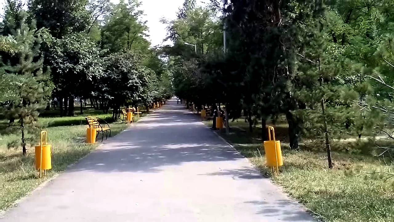 г.Алматы.Аллея по ул.Гагарина.04.07.15г.
