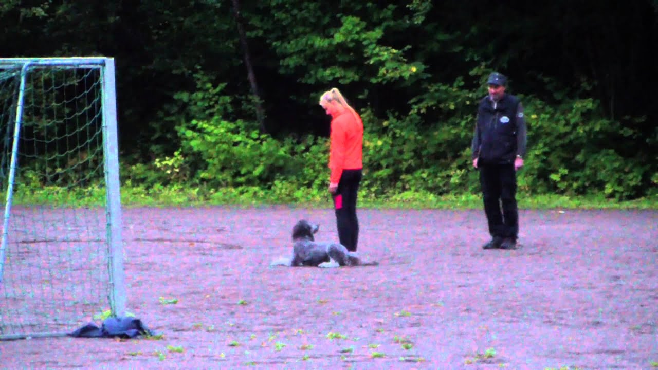 Bronsemerket - Ida & Sara - 09.09.2014