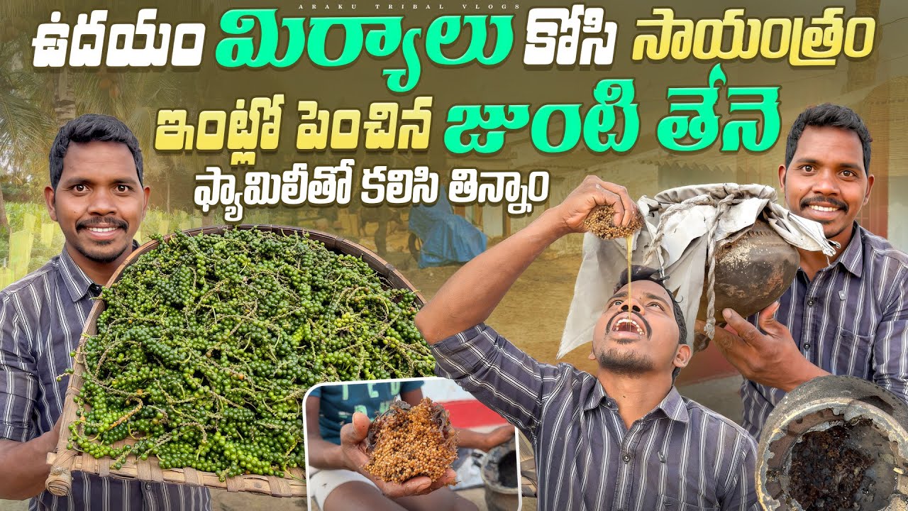 కొద్దిపాటిలో తప్పిందీ పాము🐍కాటుకు😢| సాయంత్రం జుంటి తేనె తీసి తిన్నాం 🍯🌶️ | Araku Tribal Vlogs🌱❤️