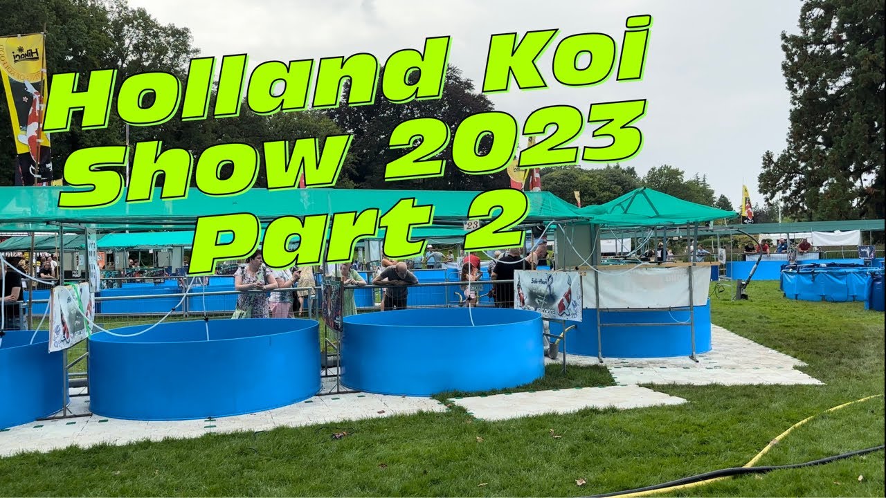 Holland Koi Show 2023 in Arcen. Der 2. Teil mit dem Special Variety Grand Champion!