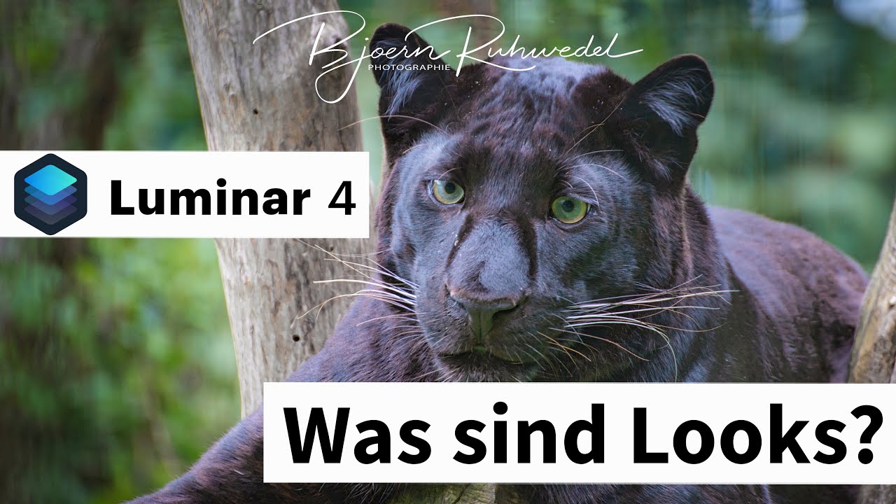Luminar 4 - Was sind Looks?