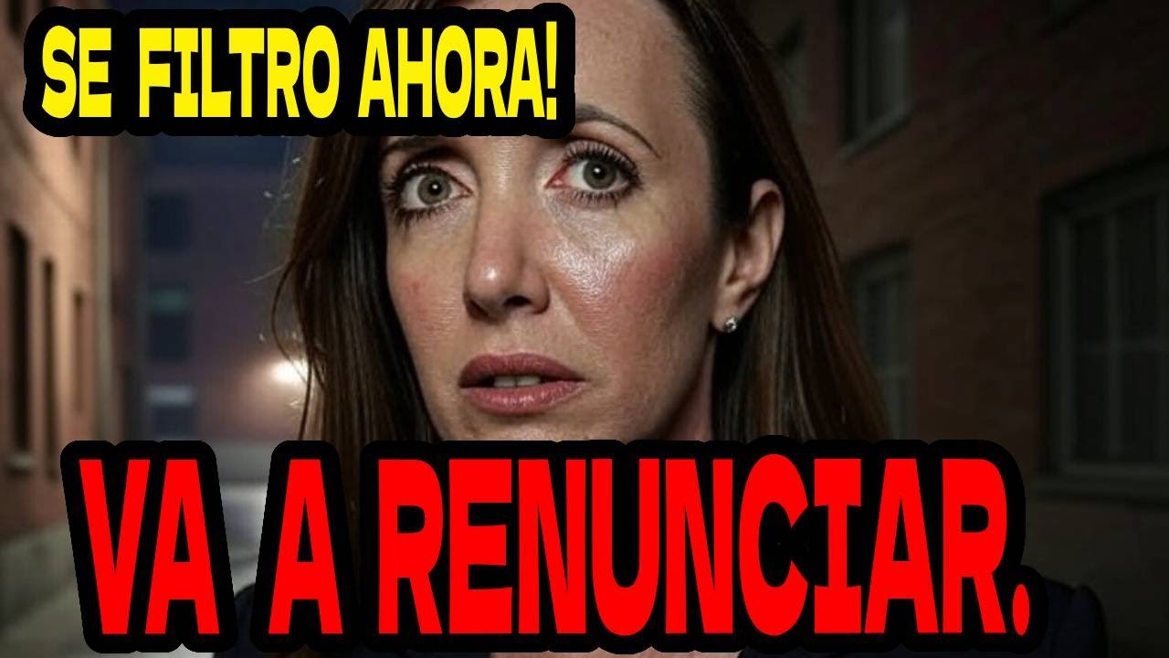 VICTORIA VILLARRUEL VA  A RENUNCIAR  COMO VICEPRESIDENTE DE LA NACION.