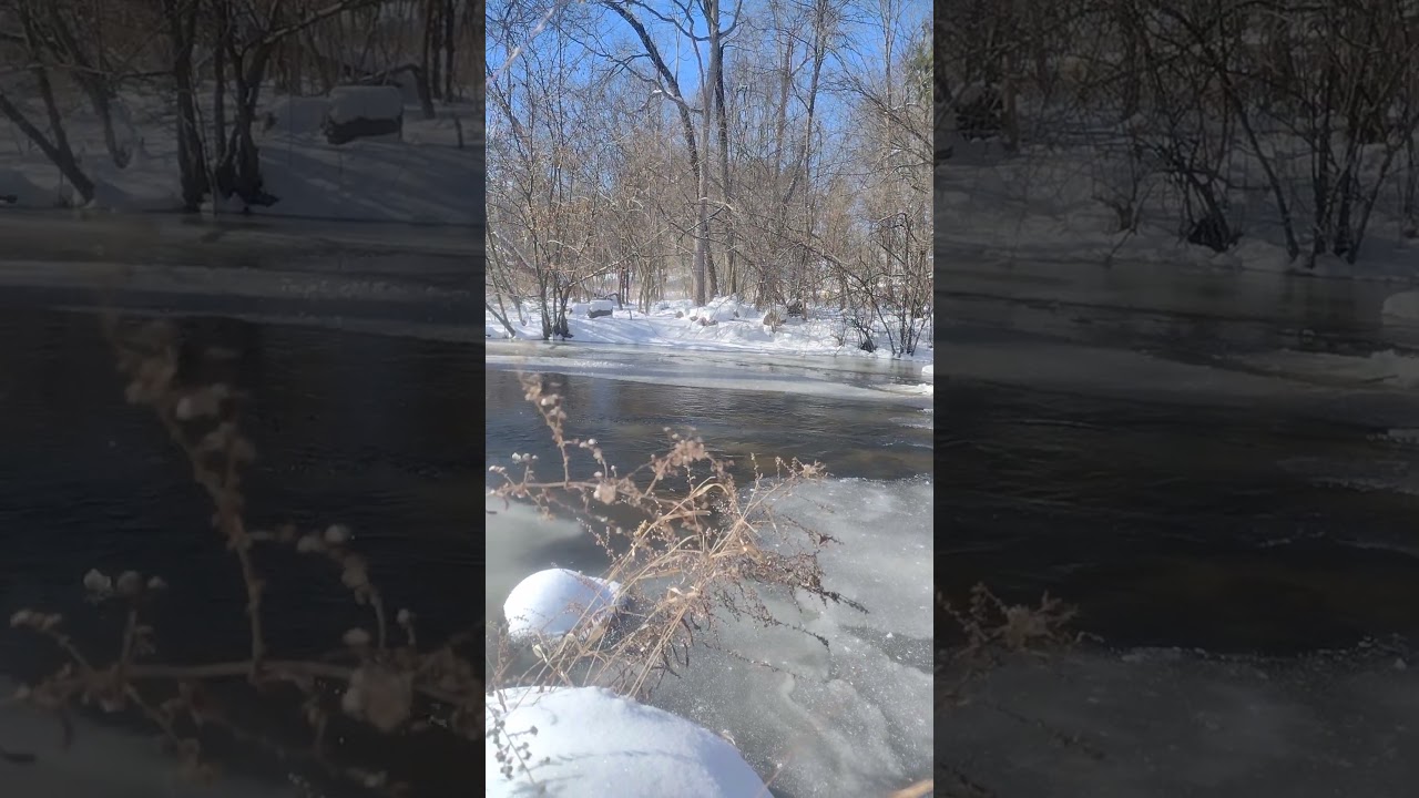 #winterfreeze #frozen #winter #snow