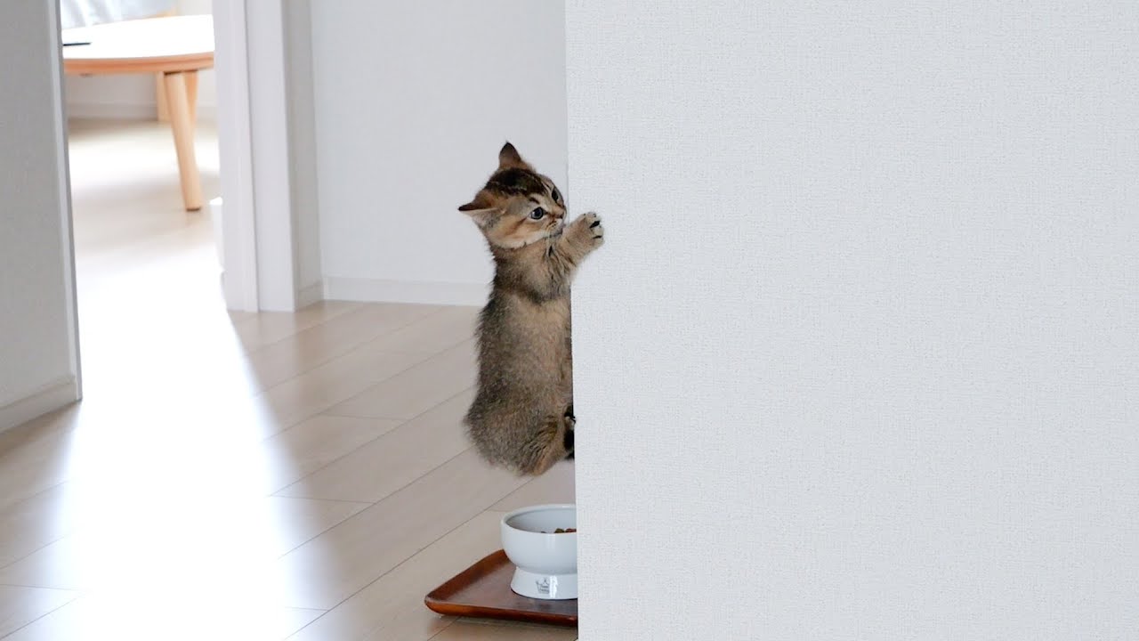 Mission Impossible