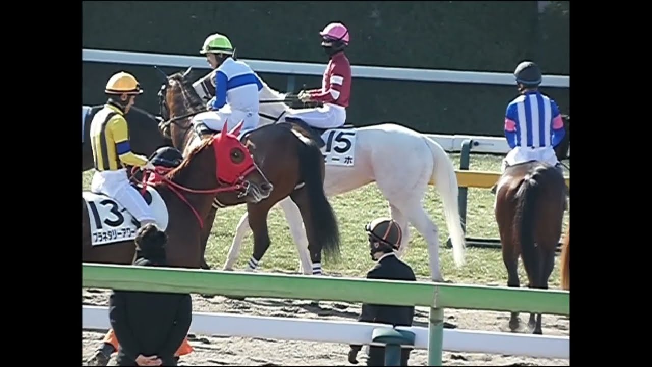 【a prince on a white horse】Sukh