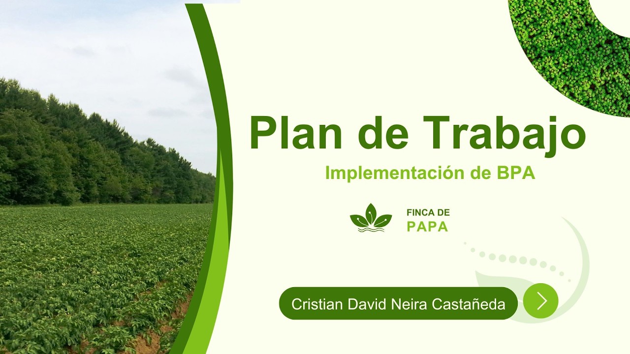 Cultivo de Papa