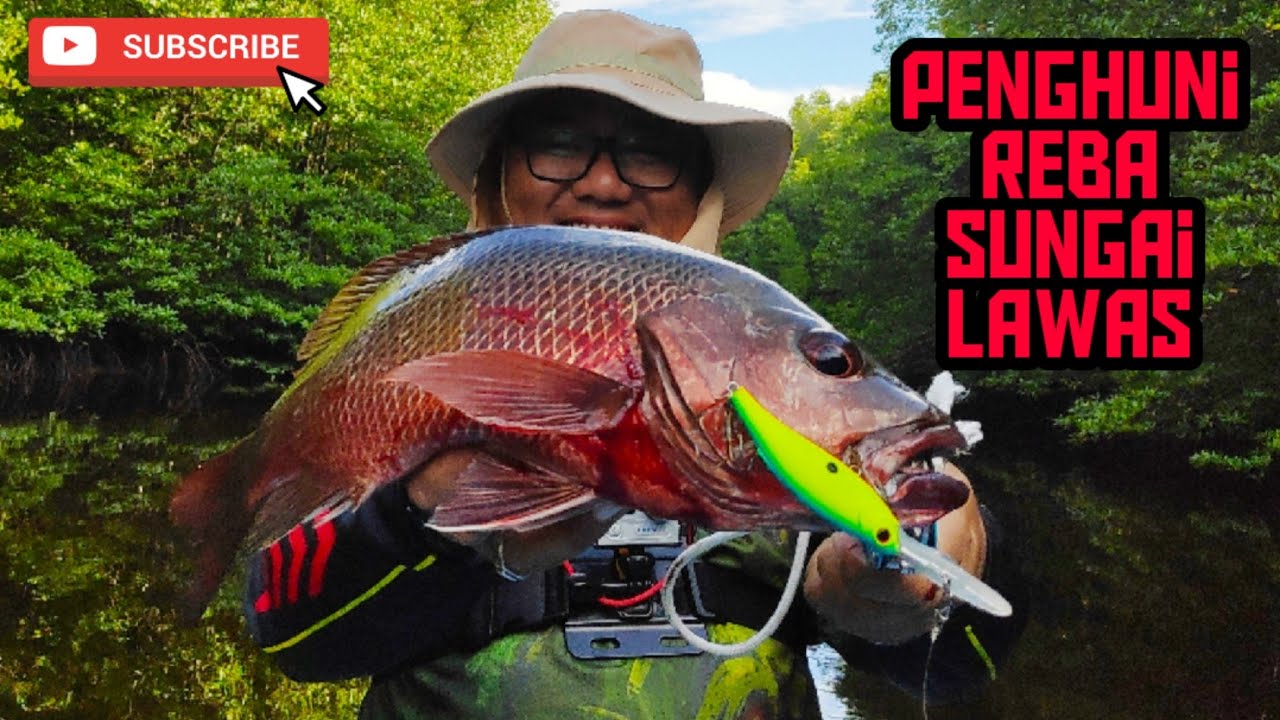 Episod 48: Siakap Merah Sungai Lawas Power!
