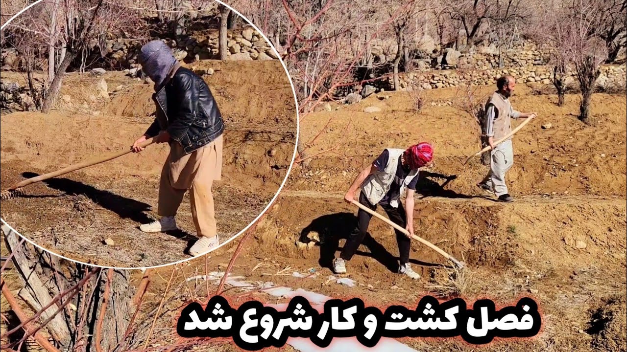 فصل کشت و کار کم کم شروع شد زمین ها را آماده کردیم 🌱