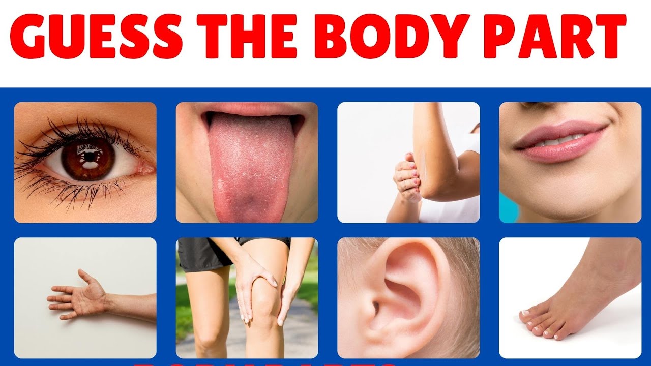 GUESS the BODY PART | Parts of Body | Body Part Quiz | Body Parts Name | Body Parts Quiz for Kids |
