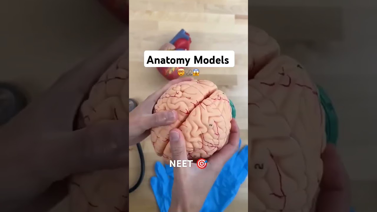 #neet #aiims #mbbs #medical #biology #doctor #neetpreparation #medicalstudent #fetus #starwars