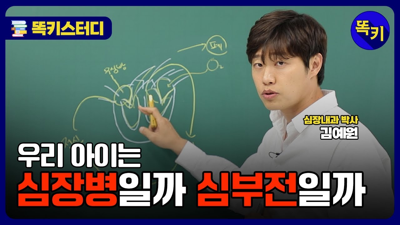 강아지 심장병 개념정리 | 