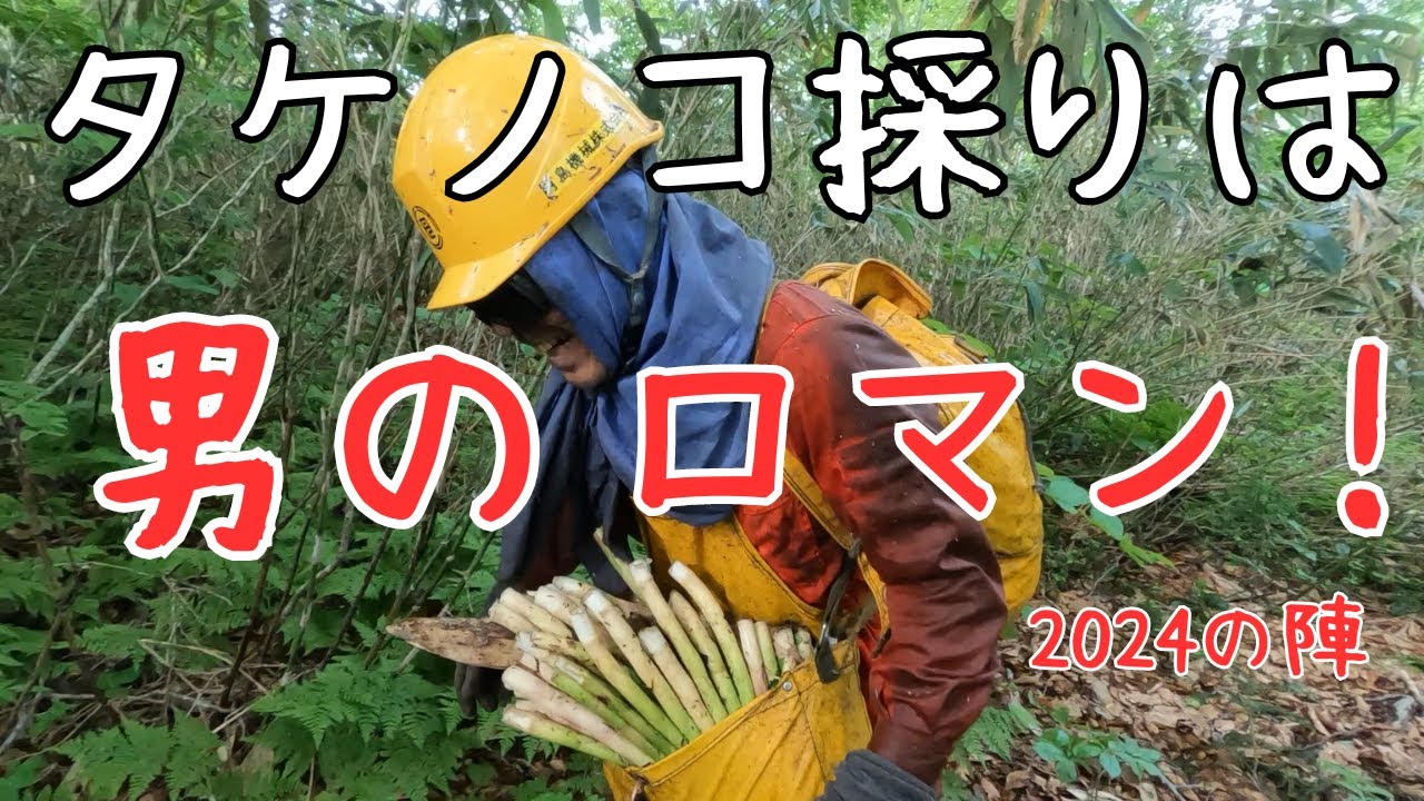 タケノコ採りは男のロマン！2024の陣！