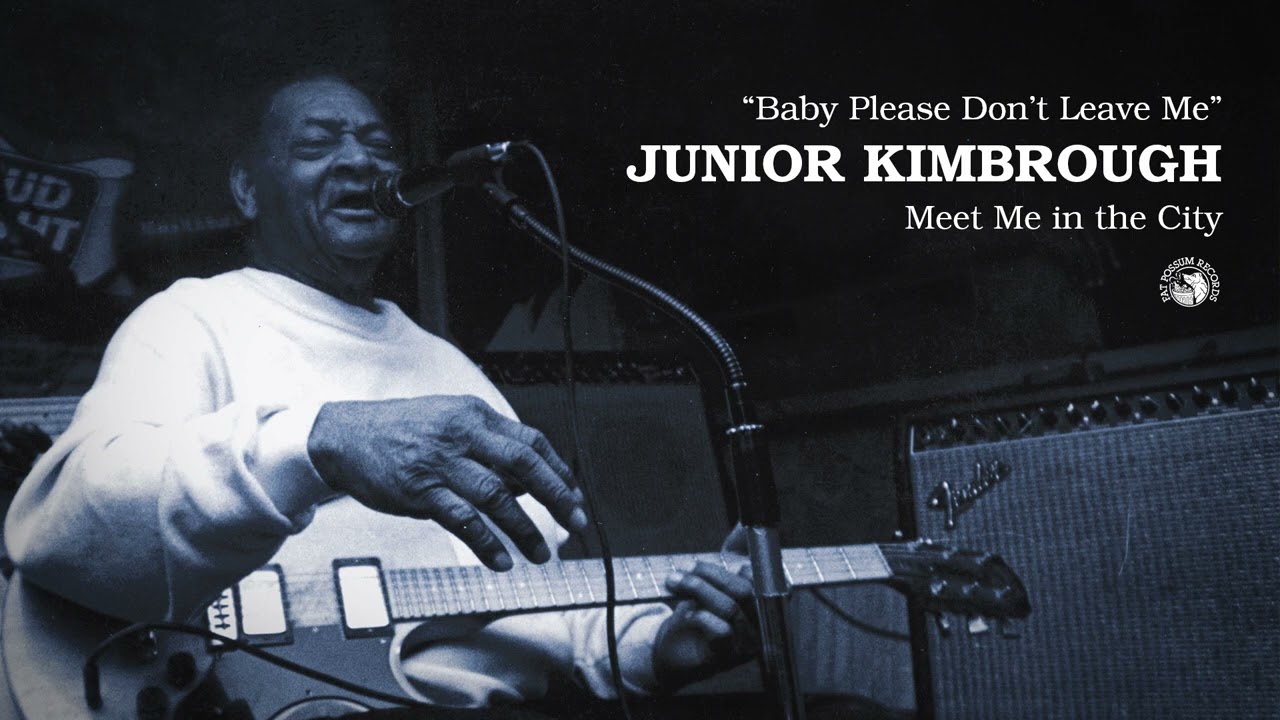 Junior Kimbrough - Baby Please Don't Leave Me (Official Audio)